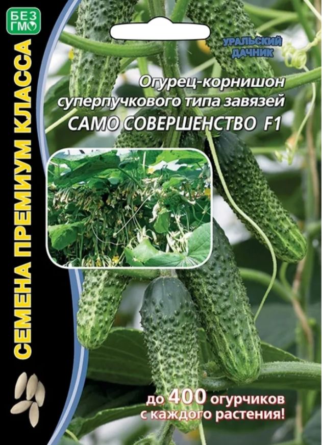 Огурец"СамосовершенствоF1"ультрараннийпартенокарпическийвысокоурожайныйАэлитадляоткрытогогрунтаитеплиц