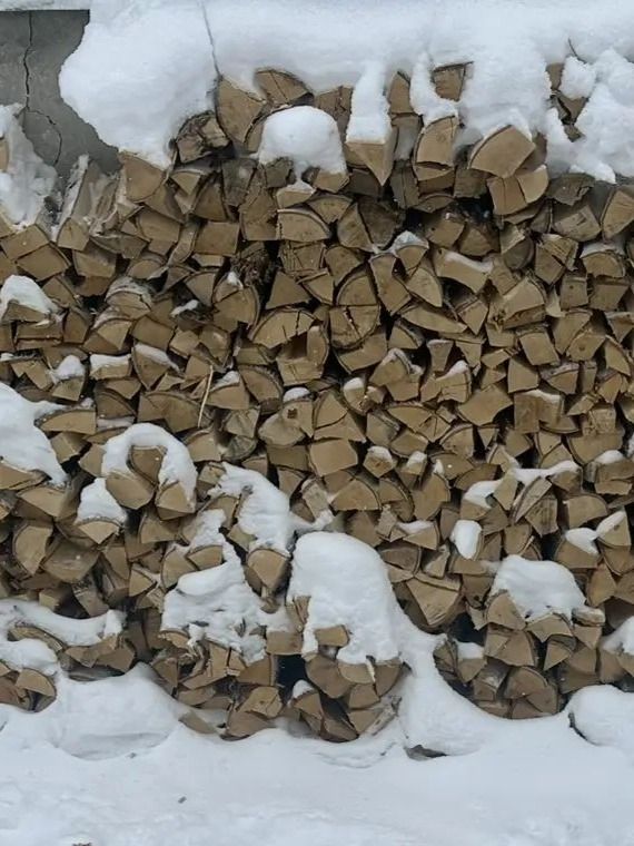 Дроваизберезысвежейскорой/40см/25кг/упаковкабезмусора