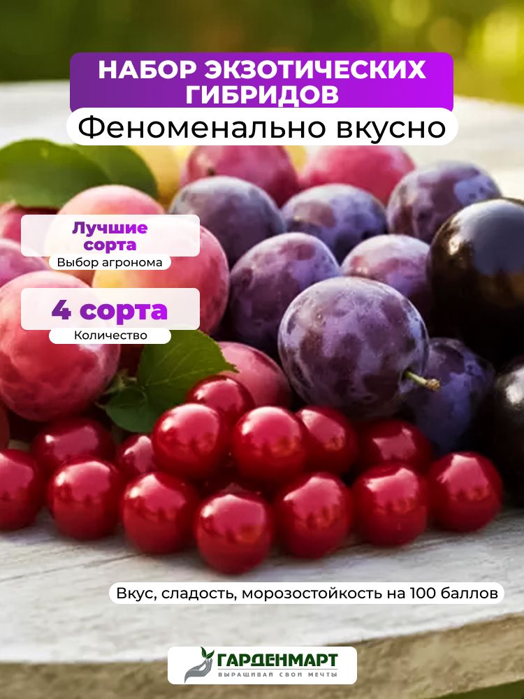 СаженецКомплектэкзотическихгибридов"Феноменальновкусно"из4сортов
