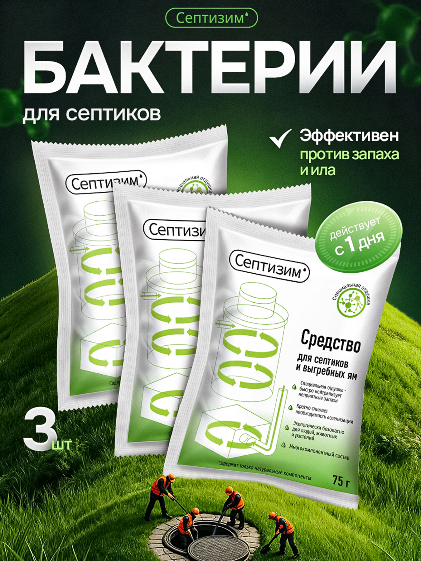 Септизим