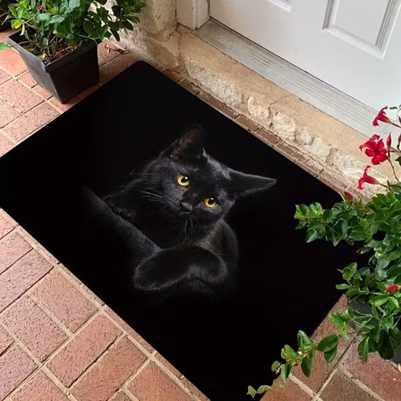 Коврикпридверный50x80см