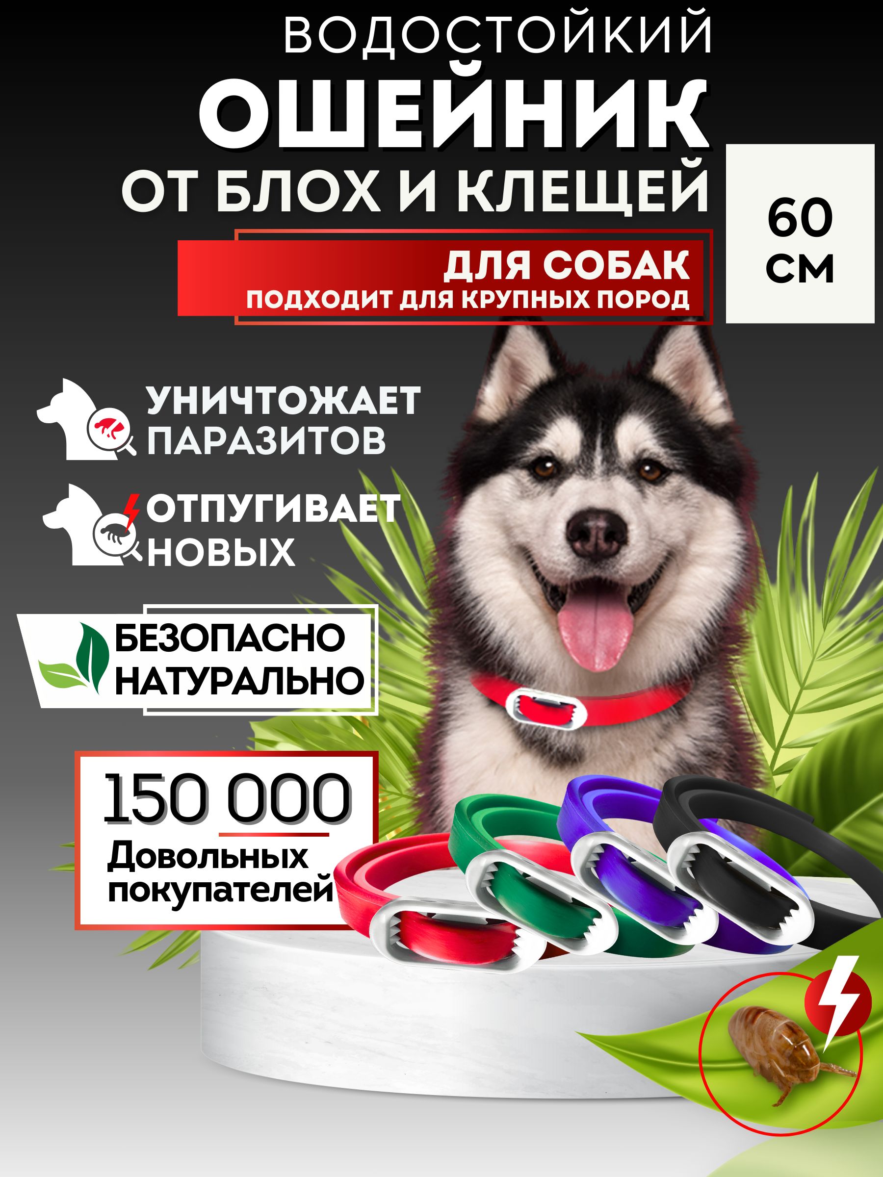 Ошейникотблохиклещейдлясобаксреднихикрупныхпород,60см.БОТАНИКФОКСрепеллентыоткомаровиклещей