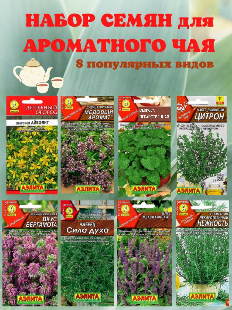 АэлитаСемена